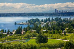 Aerial view of Bellevue and the lake