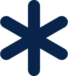 asterisk fill editor icon