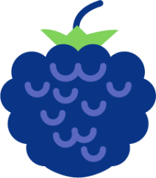 blueberry 2 icon