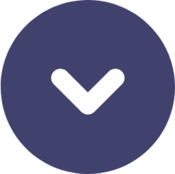 chevron circle down icon