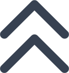 chevron double up icon