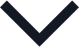 chevron down icon