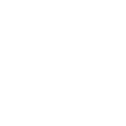 Denarius Cryptocurrency icon