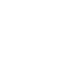 double chevron right icon