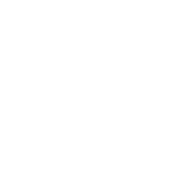 double chevron up icon