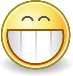 face grin icon