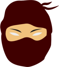 file type ninja icon