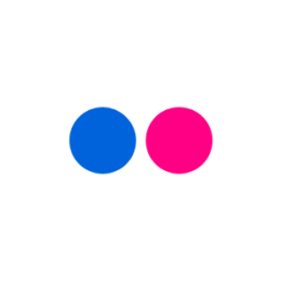 flickr icon