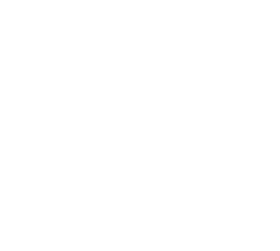 heartbeat icon