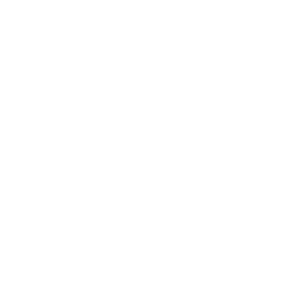 invision icon