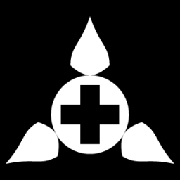 level three advanced icon