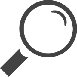 magnifier icon