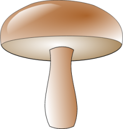 mushroom icon