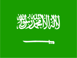 Saudi Arabia icon