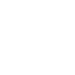 shield icon