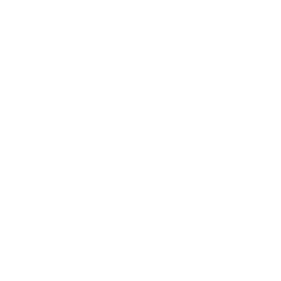 skype icon