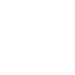 skype icon