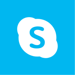 Skype icon