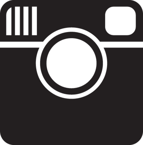 social instagram icon