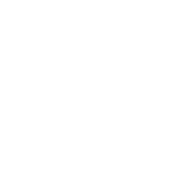 Streamr DATAcoin Cryptocurrency icon