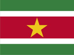 Suriname icon