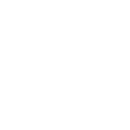 Tether Cryptocurrency icon