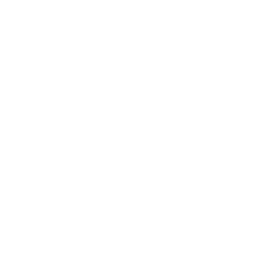 TRON Cryptocurrency icon