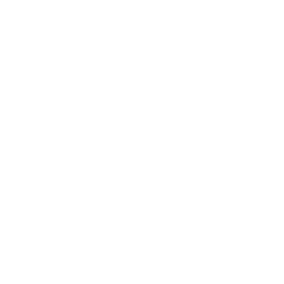 twitch icon