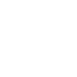 Verge Cryptocurrency icon