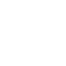 vimeo icon