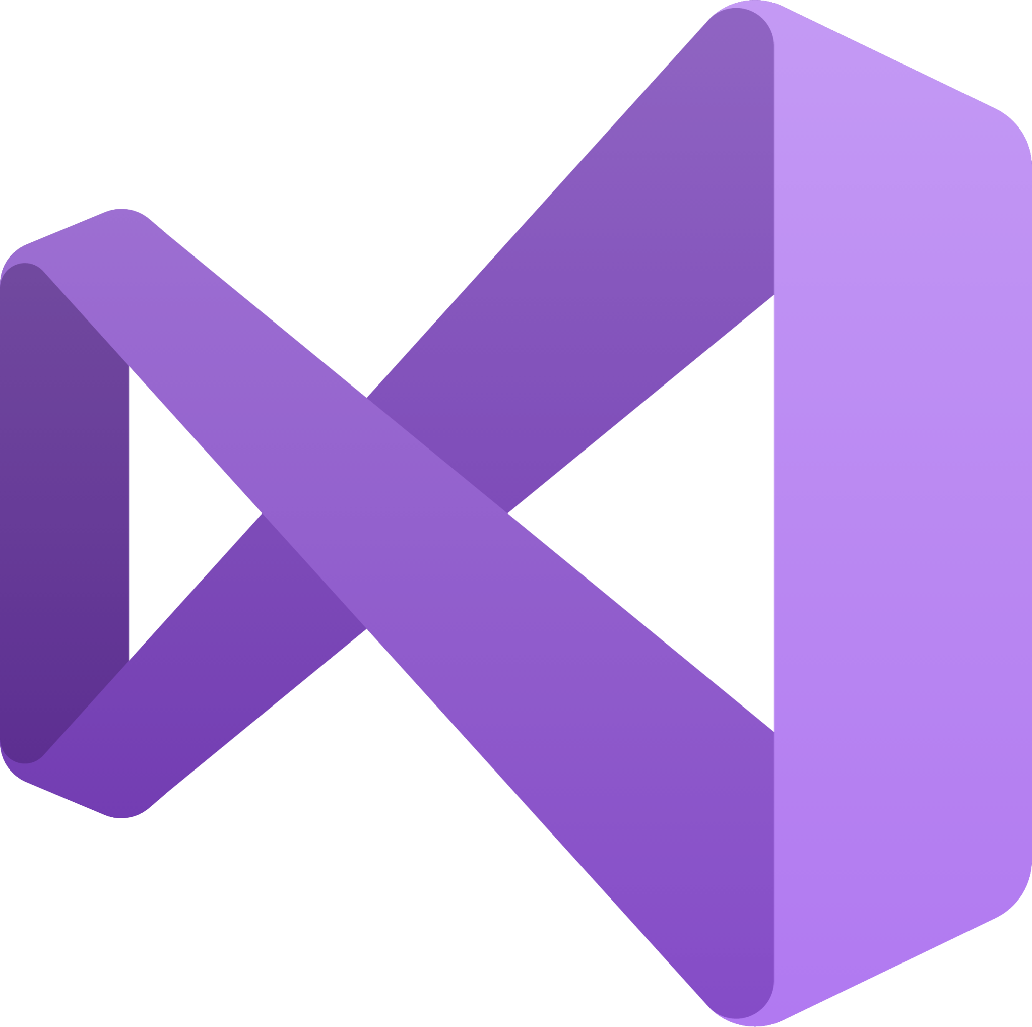 visual studio icon