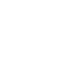 Zclassic Cryptocurrency icon