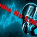 Radio No Limit Logo