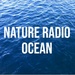 Radio Suite Network - Nature Radio Ocean Logo