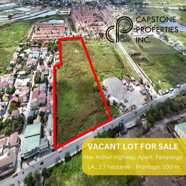 2.7 Hectares Vacant Lot for Sale in MacArthur Highway, Apalit City ...