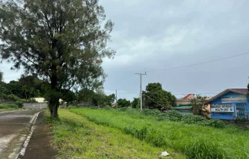 Commercial Lot For Sale in Los Baños, Laguna