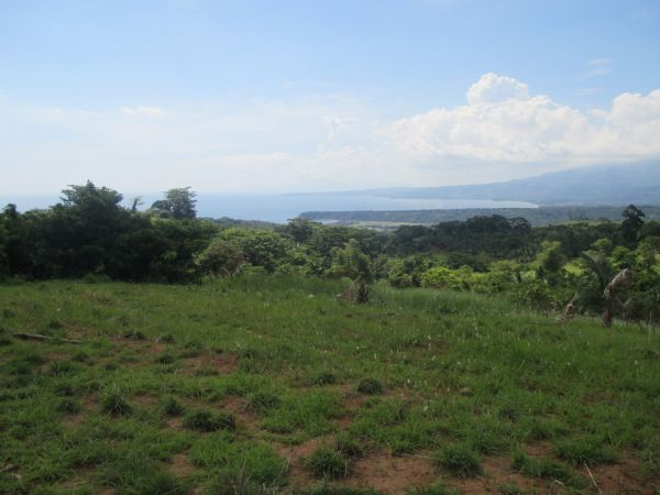 2.12 Hectares Farmland For sale Bagac, Bataan