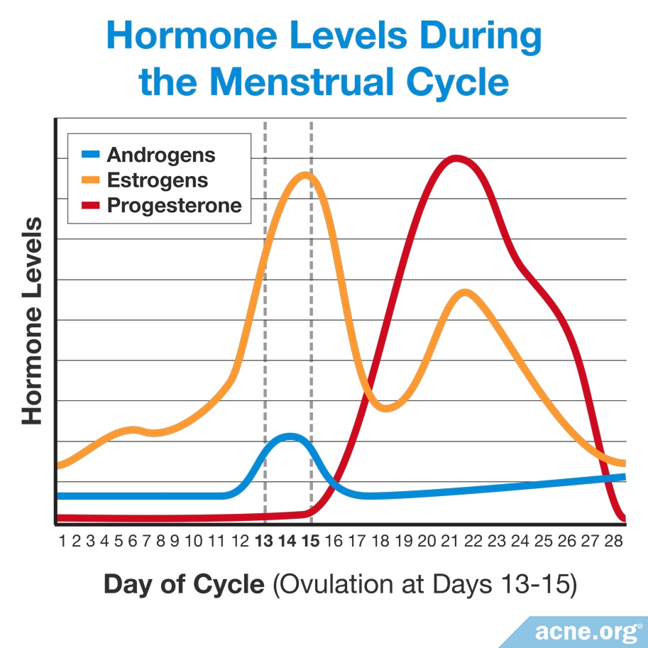 Chart Of Hormones During Menstrual Cycle