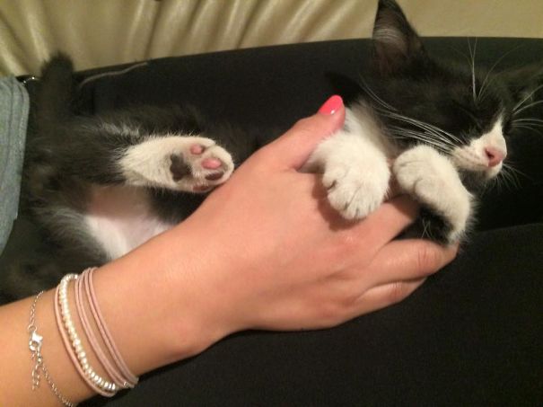 A Good Belly Rub To Fall Asleep :)