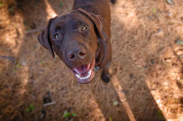 Happy Chocolate Face!