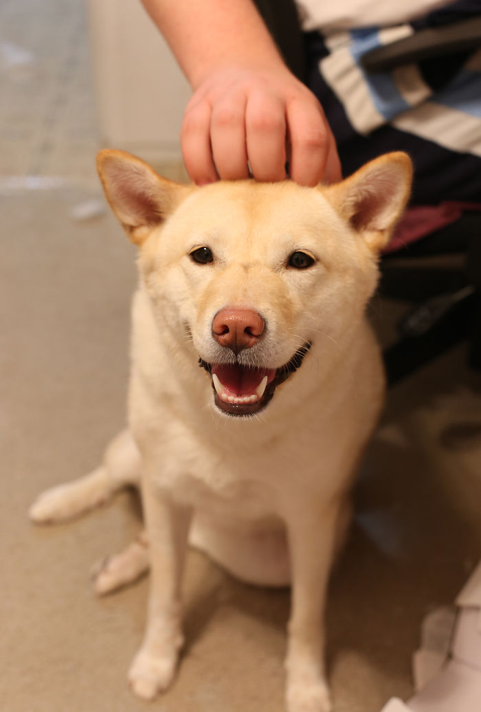 Soonie Loves Getting Pets From Her Buddy~