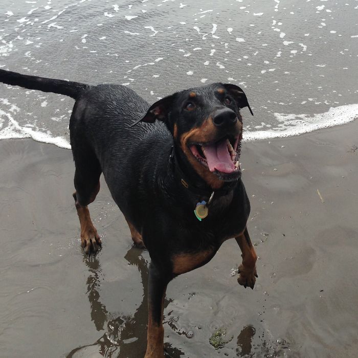 Beach + Ball = Bliss!