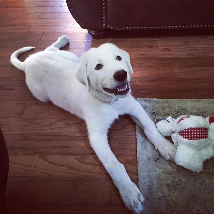 Bradley Cooper Showing Off His Smile