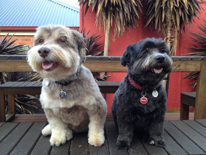 Two Happy Chappies.