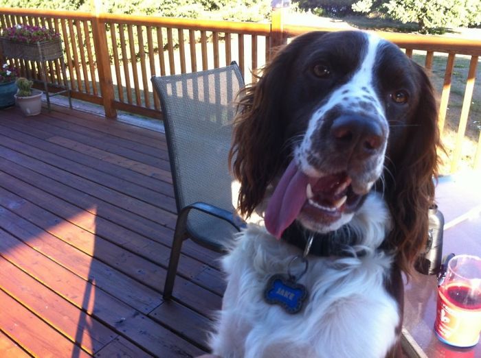 A Freckled Face Of Happiness!