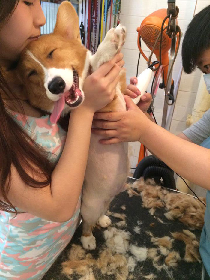 Have You Ever Been This Happy To Have Your Chest Hair Shaved?