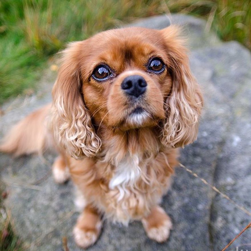 Wearing His Autumnal Coat.