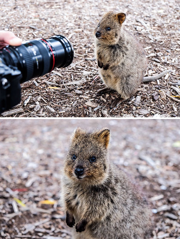 This Model Knows Exactly When To Turn On The Charm For The Lens