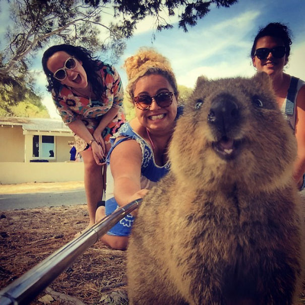 Smiling quokka with three people in the background, capturing a joyful selfie outdoors.