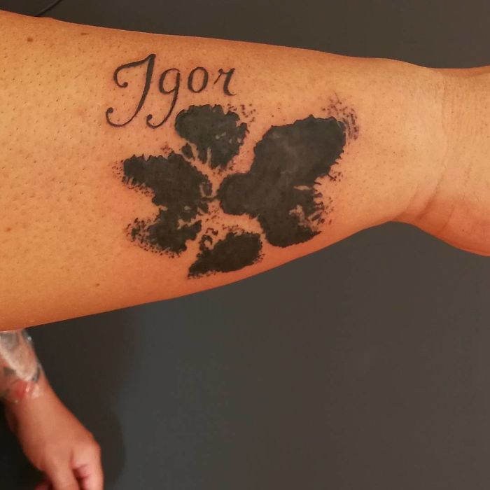 Dog paw print tattoo on forearm with name "Igor" above it.